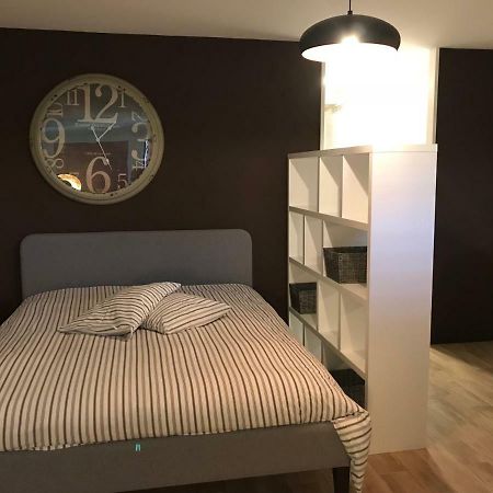 Large Studio Near Epfl And Lausanne City Center Ecublens  Экстерьер фото