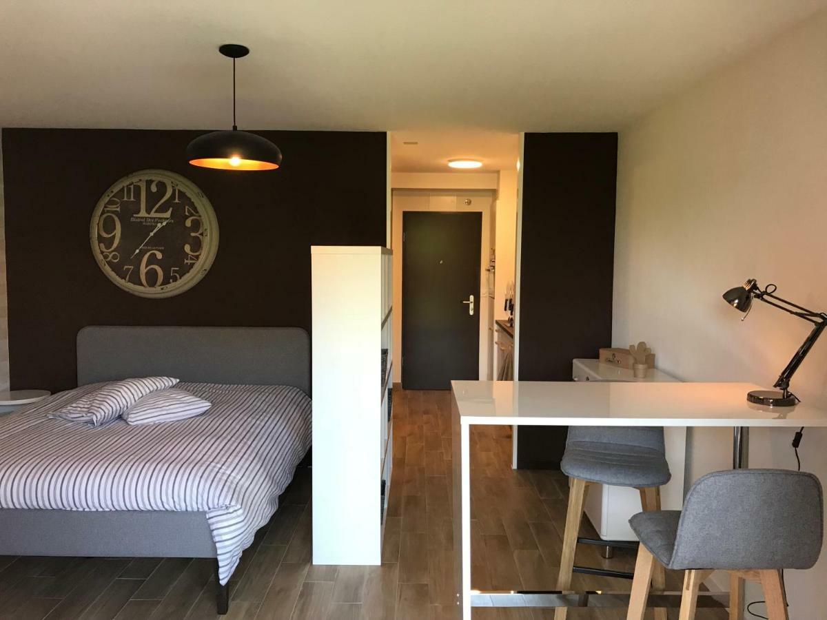Large Studio Near Epfl And Lausanne City Center Ecublens  Экстерьер фото