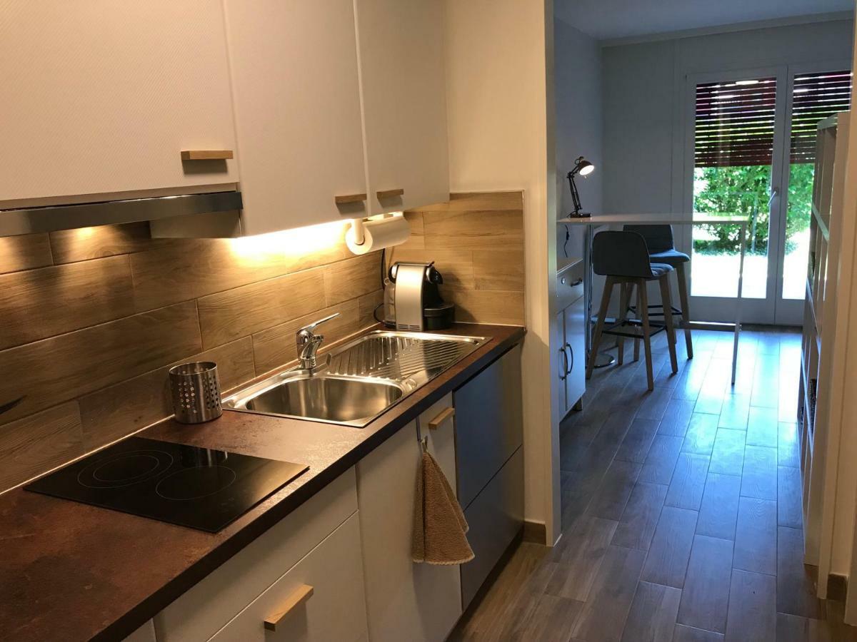 Large Studio Near Epfl And Lausanne City Center Ecublens  Экстерьер фото