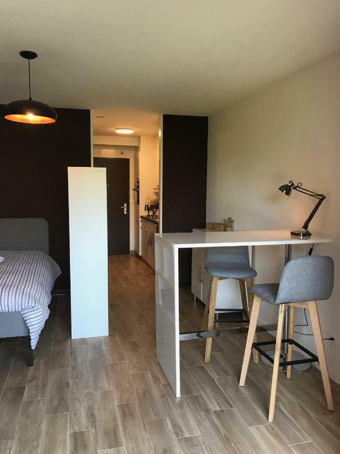 Large Studio Near Epfl And Lausanne City Center Ecublens  Экстерьер фото