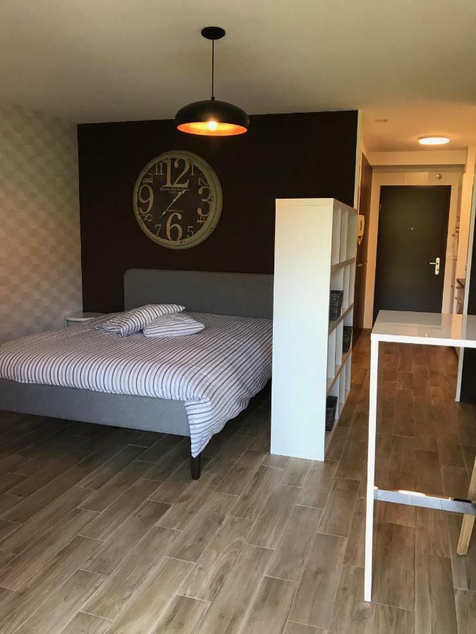 Large Studio Near Epfl And Lausanne City Center Ecublens  Экстерьер фото